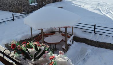 ბაკურიანი_4