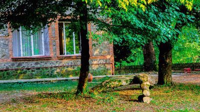 ვალდ ჰოტელ ლაგოდეხი_4