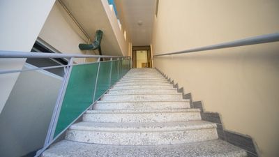 ნიკალა_3