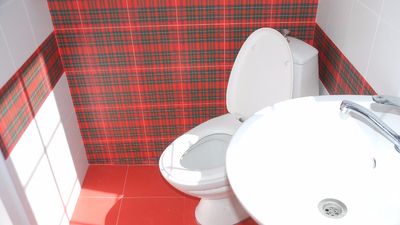 ბორჯომი ცენტრალ პარკ აპარტამენტი 2_5