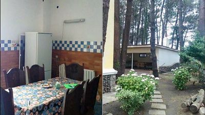 გრიგოლეთი_2