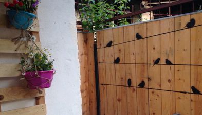 აპარტამენტი მაია 3_3