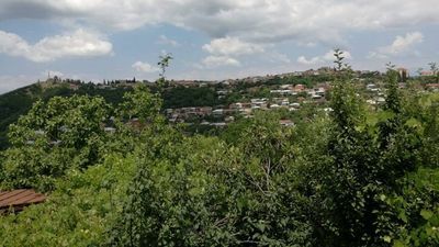 საოჯახო სასტუმრო ირმა_8