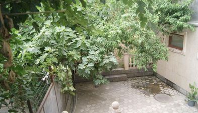 მარიამი_8