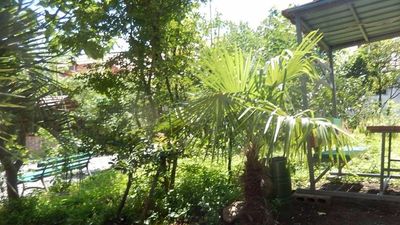 მიშიკო_6