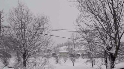 პალიტრა_2