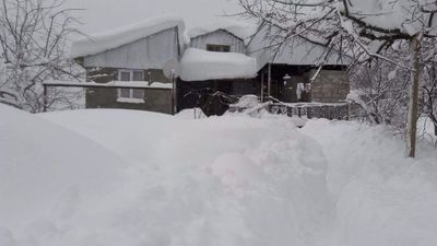 პალიტრა_3