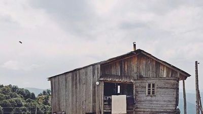 პალიტრა_6