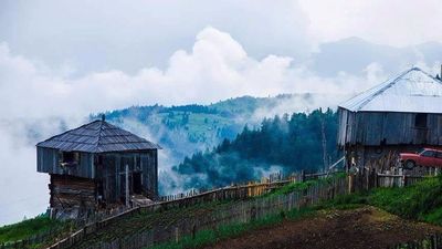 პალიტრა_7