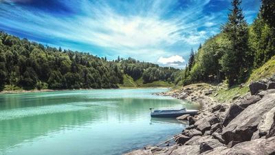 პალიტრა_8