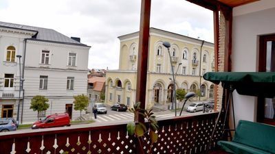 მიმინო_2