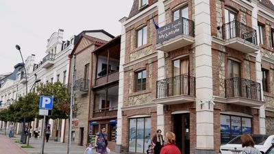 მიმინო_5