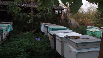 ალავერდი_3