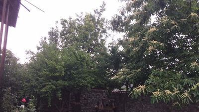 ალავერდი_7