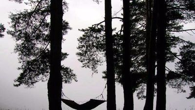 სასტუმრო თუშეთი-თრეველ_7