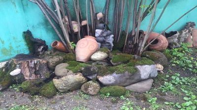 ზანდუკელი ინნ_2