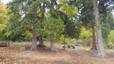 პანორამა ბაკურიანი_2