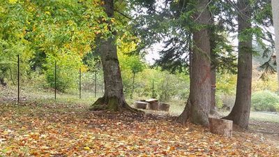 პანორამა ბაკურიანი_4