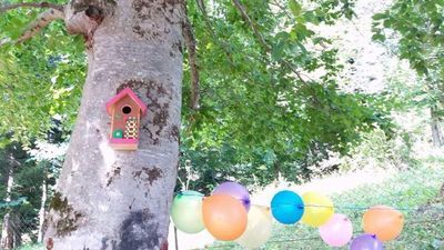 პანორამა ბაკურიანი_7