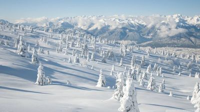 ლუქს აპარტამენტები_2