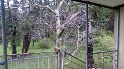 Guesthouse Manglisi_2