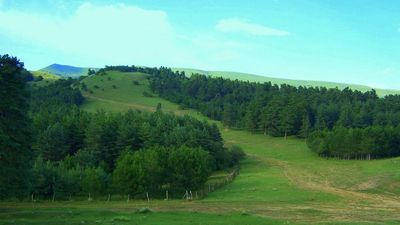 Guesthouse Manglisi_5