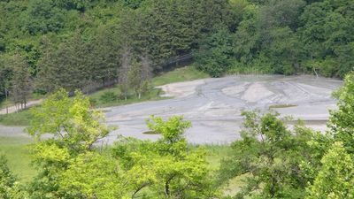 Гурджаани_6