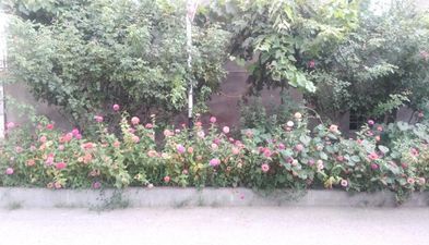 მარტინენკო_3