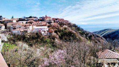 სამი გრაცია_9