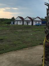 კრუიზი_2