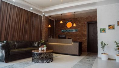 მანდარინი_9