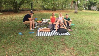 ვილა ქარდველი_3