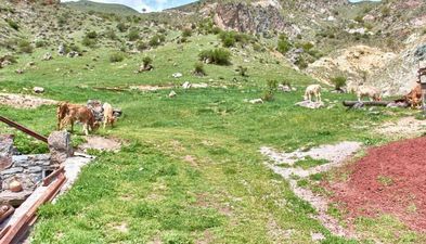 აგროტურისტული ფერმა თირები_8