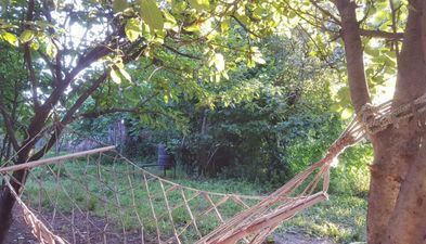 კახიმერი_5