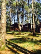 ყვავილნარი_2