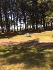 ყვავილნარი_3