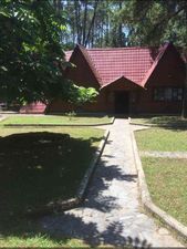 ყვავილნარი_5