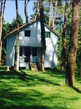 ყვავილნარი_6