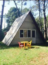 ყვავილნარი_7