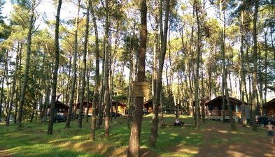 ყვავილნარი_8