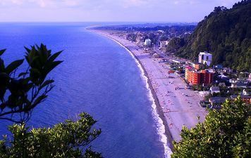 კალიფსო კვარიათი ინნ_5