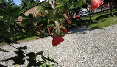 საოჯახო სასტუმრო კოლხი_6