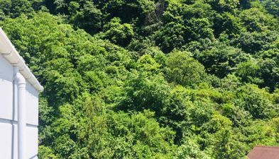 საოჯახო სასტუმრო კოლხი_8