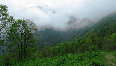 ნიკალა_4