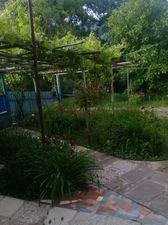 ჩემი სახლი_8