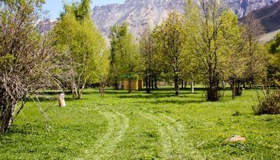 მწვანე კოტეჯები_4