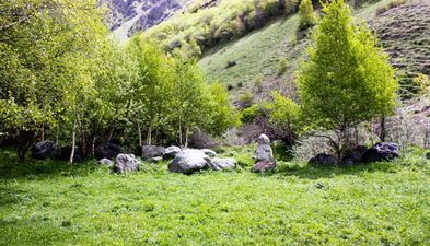 მწვანე კოტეჯები_6