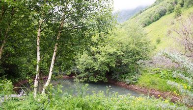 მწვანე კოტეჯები_8