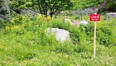 მწვანე კოტეჯები_9