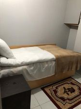 მიმინო_7